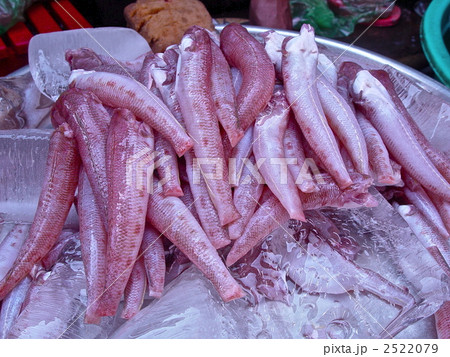 路上の魚（ホーチミン／ベトナム） 2522079