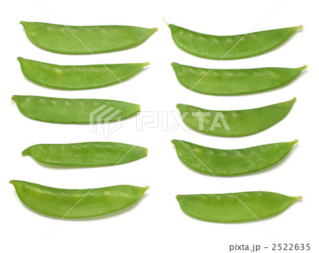 きぬさや・さやえんどう きぬさや・さやえんどう 2522635