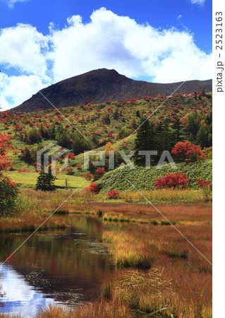 芳ヶ平の紅葉 2523163