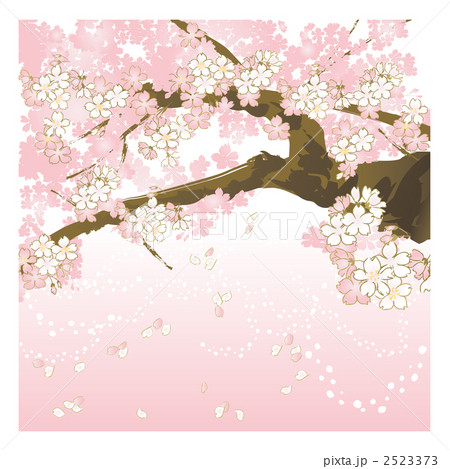 桜 散る 背景のイラスト素材
