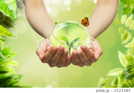 110331_wg_987354 110331_wg_987354 2523385