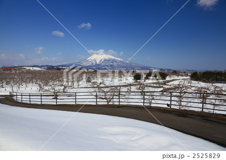 冬の公園と岩木山 冬の公園と岩木山 2525829