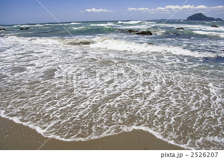 伊良湖海岸 2526207