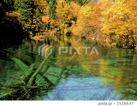 秋の九寨溝　五花海 2526637