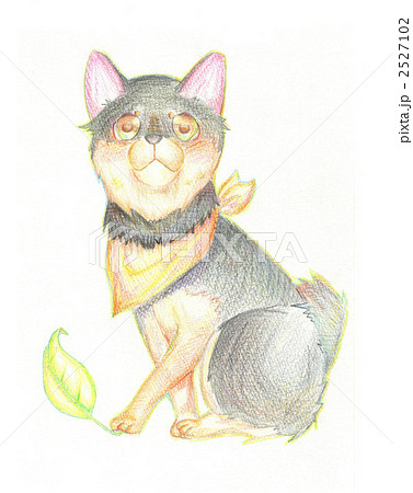 Kurosagi Stock Illustration