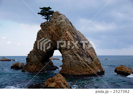 千貫松島　（鳥取県 岩美郡 岩美町 浦富海岸） 2527362