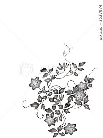 和柄 花 あさがおのイラスト素材 2527974 Pixta