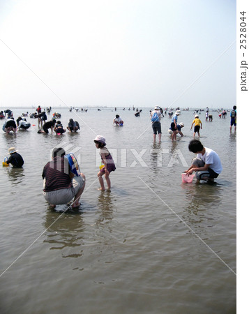 潮干狩り 潮干狩り 2528044