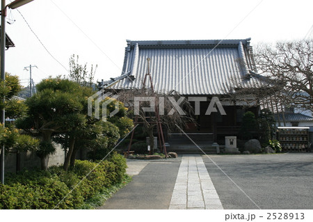 日蓮宗寺院の本興寺を訪れて 日蓮宗寺院の本興寺を訪れて 2528913