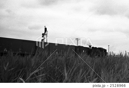 石巻線Ｃ１１ 2528966