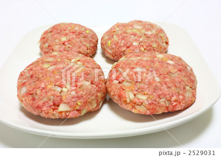 ハンバーグたね 2529031