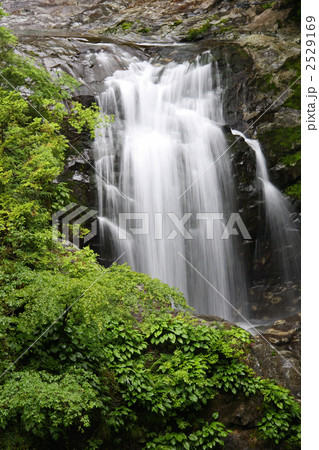 みたらい渓谷　みたらい滝 2529169