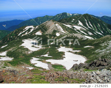 夏の雪倉岳と朝日岳 2529205