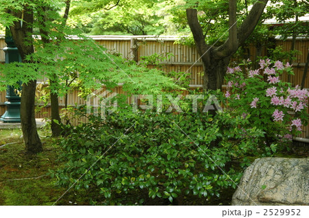日本庭園 2529952