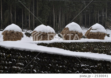 藁こずみ 2530041