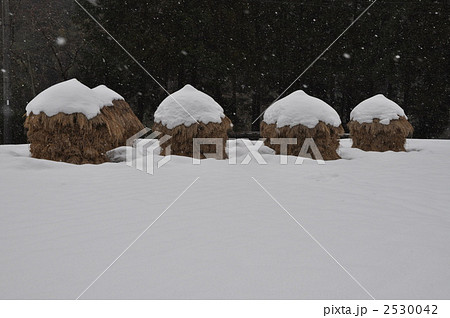 藁こずみ 2530042