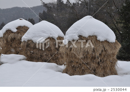 藁こずみ 2530044