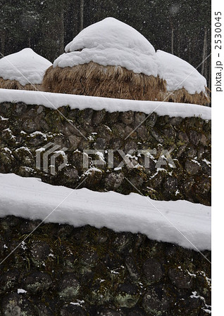 藁こずみ 2530045