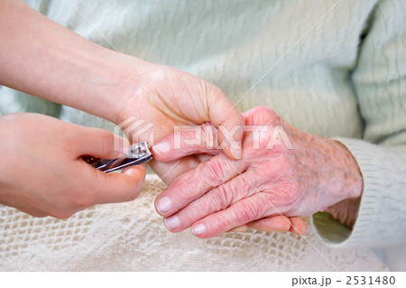 シニアの爪を切る 2531480
