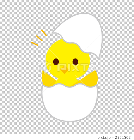 生まれたてのヒヨコ 生まれたてのヒヨコ 2531502