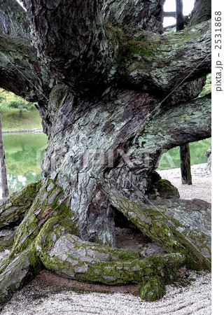 栗林公園 栗林公園 2531868