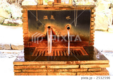 鉄分豊富　いつでも健康飲料 2532596