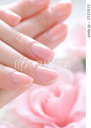 ネイルイメージ ネイルイメージ 2532813