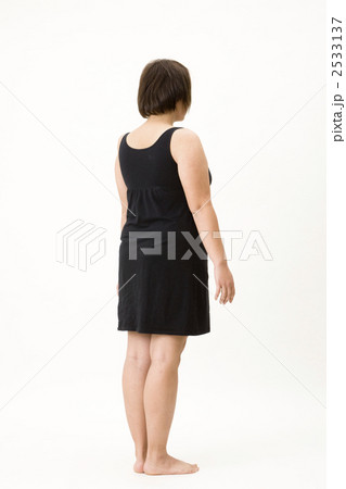 太った女性 2533137