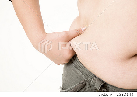 太った女性 2533144