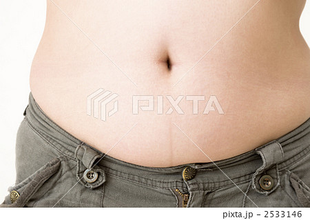太った女性 太った女性 2533146