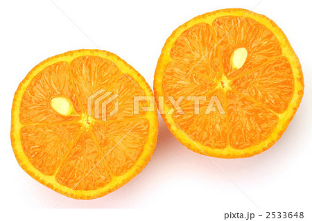 たんかん たんかん 2533648