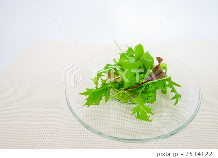 ベビーリーフ ベビーリーフ 2534122