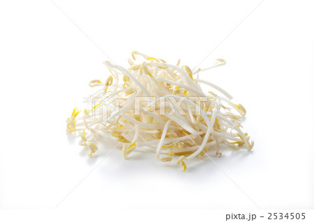 もやし もやし 2534505