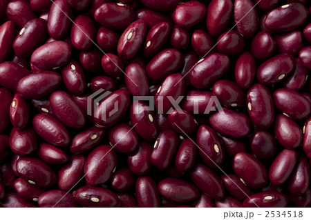 金時豆 金時豆 2534518