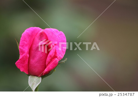 マリア・カラス マリア・カラス 2534787