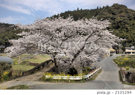 美里町の石橋 美里町の石橋 2535294