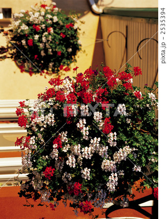 トレンブラント村のフラワーポット トレンブラント村のフラワーポット 2535394