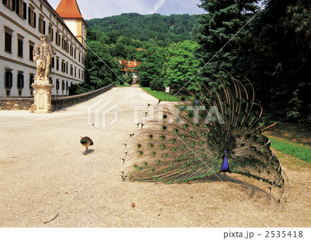 エッゲンベルク城の孔雀 2535418