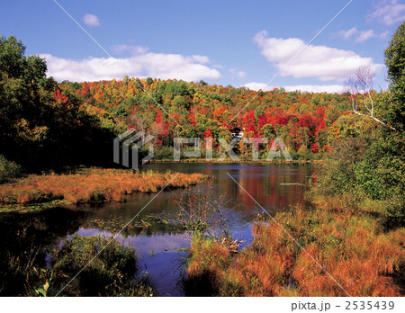 ローレンシアン高原の秋 2535439