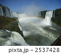 アルゼンチン　ブラジル　イグアスの滝 2537428