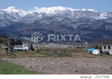 山里の野菜畑 2537598