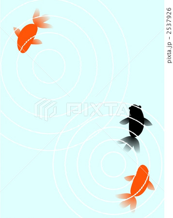 金魚 金魚 2537926