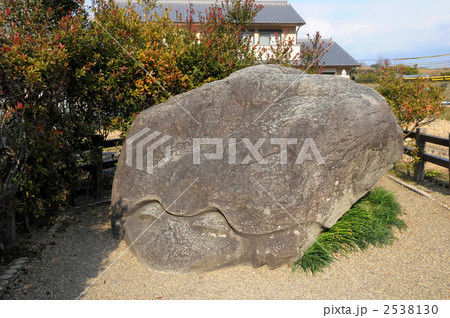亀石 亀石 2538130