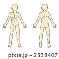 2538407