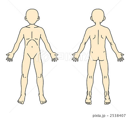 人体図のイラスト素材 2538407 Pixta