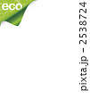 2538724