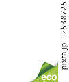2538725