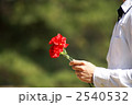 カーネーション 2540532