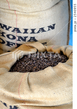コーヒー豆 コーヒー豆 2540955