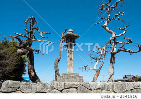 近江八景　矢橋帰帆　常夜灯 2541816